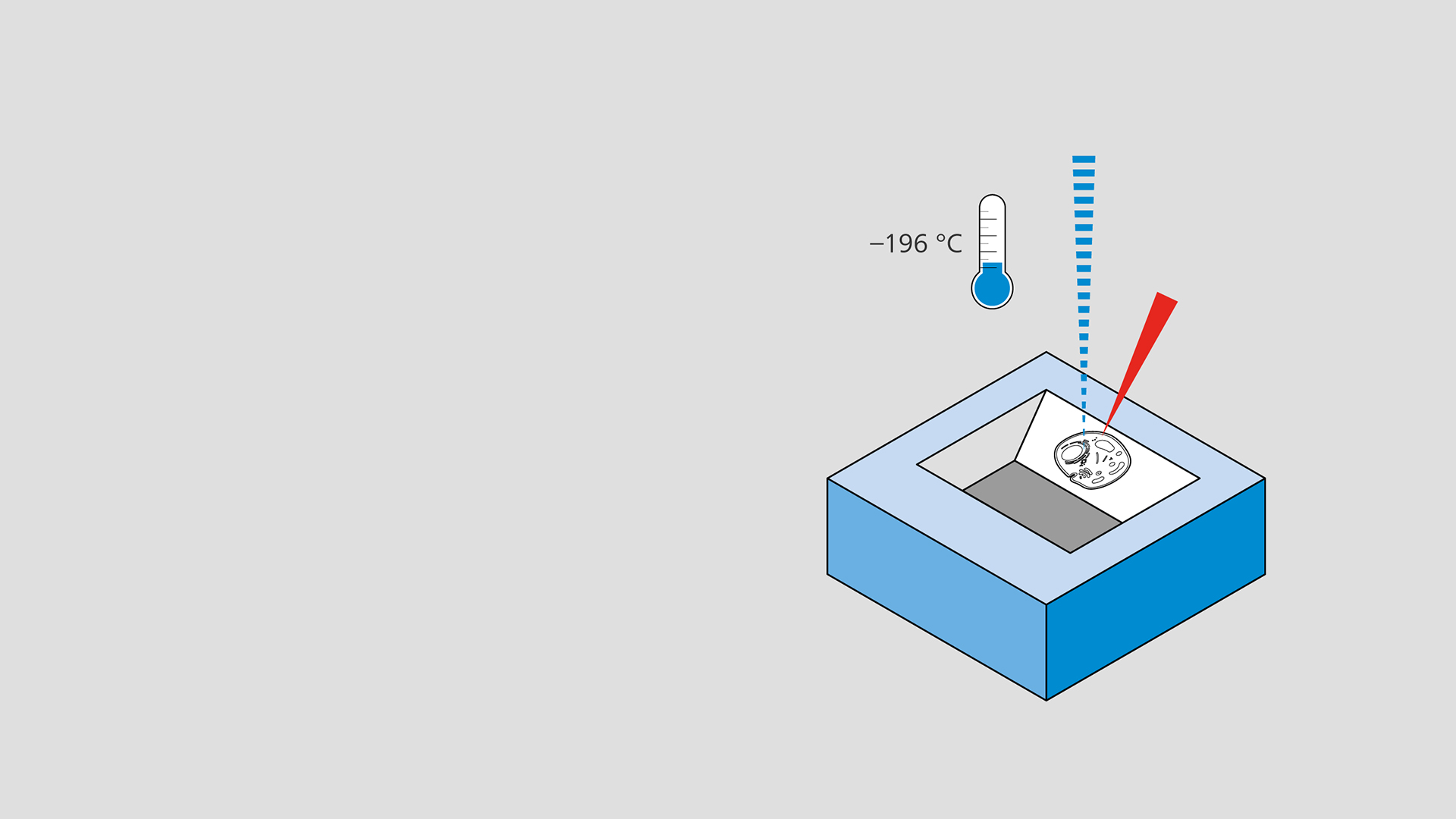 Volume EM with Cryogenic FIB-SEM​