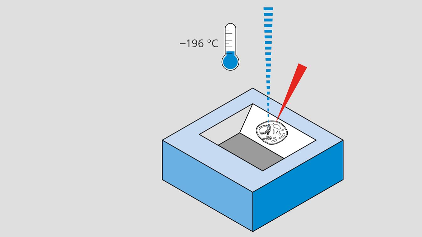 Volume EM with Cryogenic FIB-SEM​