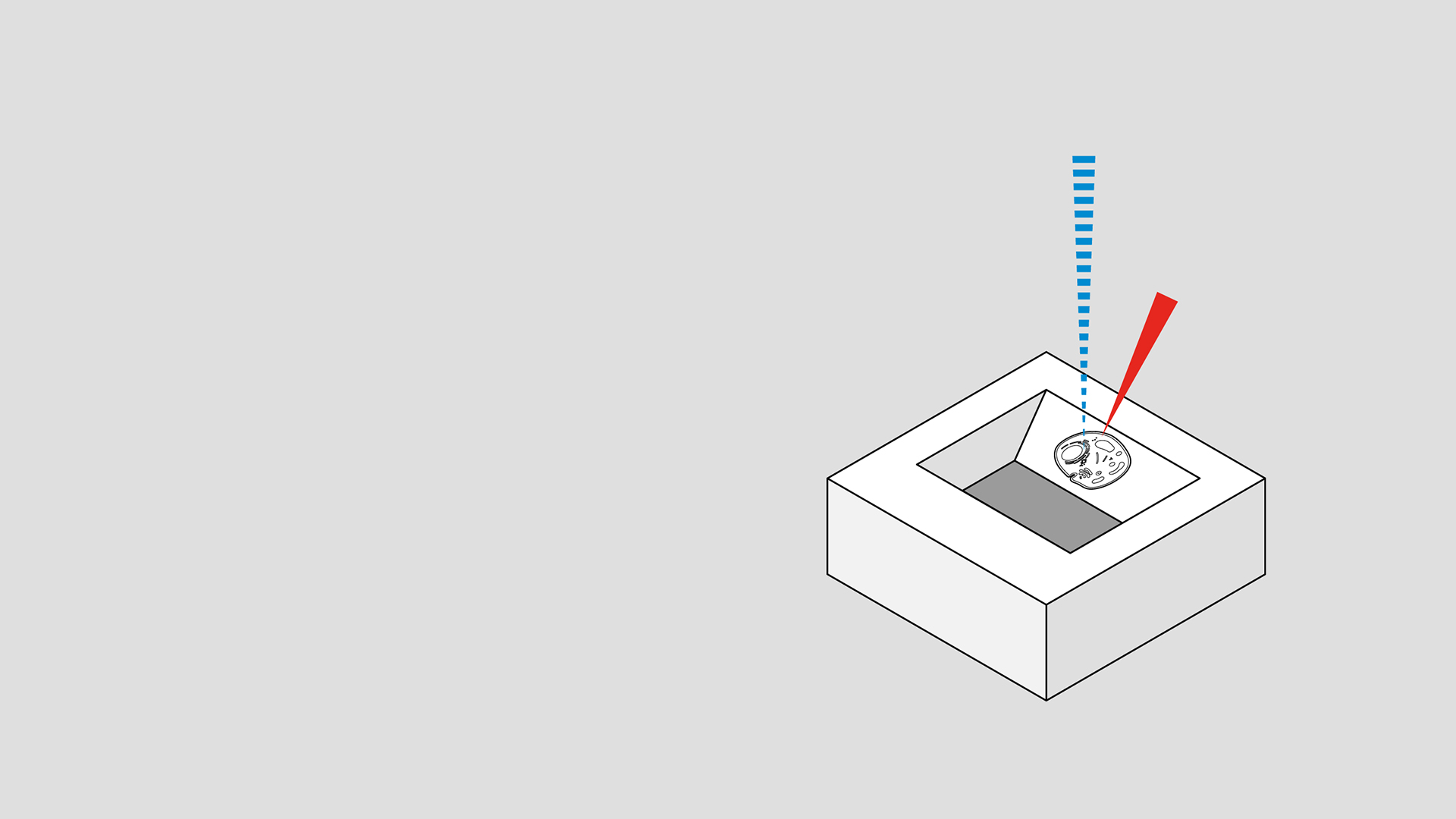 EM de volumen con microscopía electrónica de barrido con haz de iones focalizado (FIB)