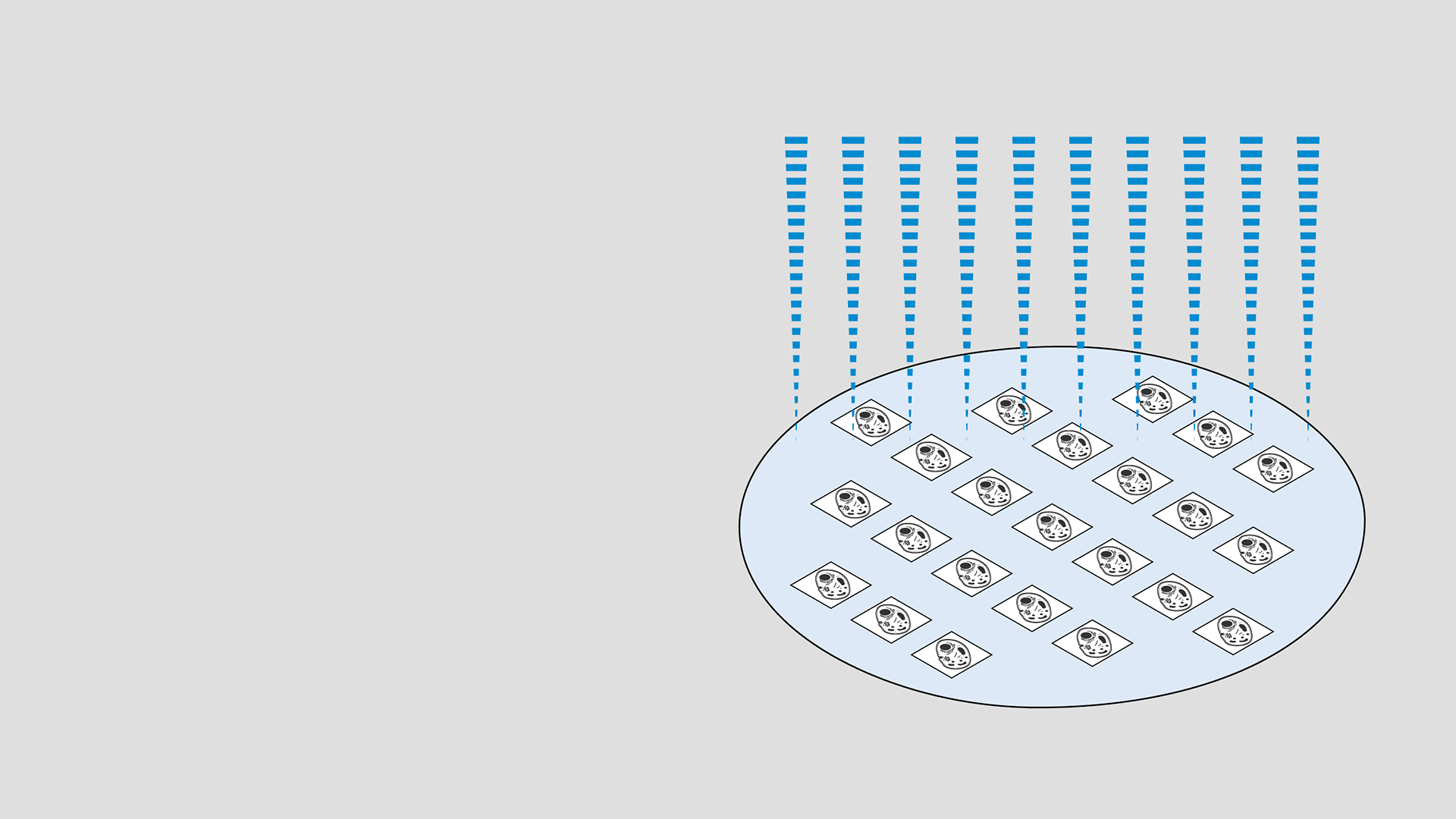 EM de volumen con Array Tomography multihaz