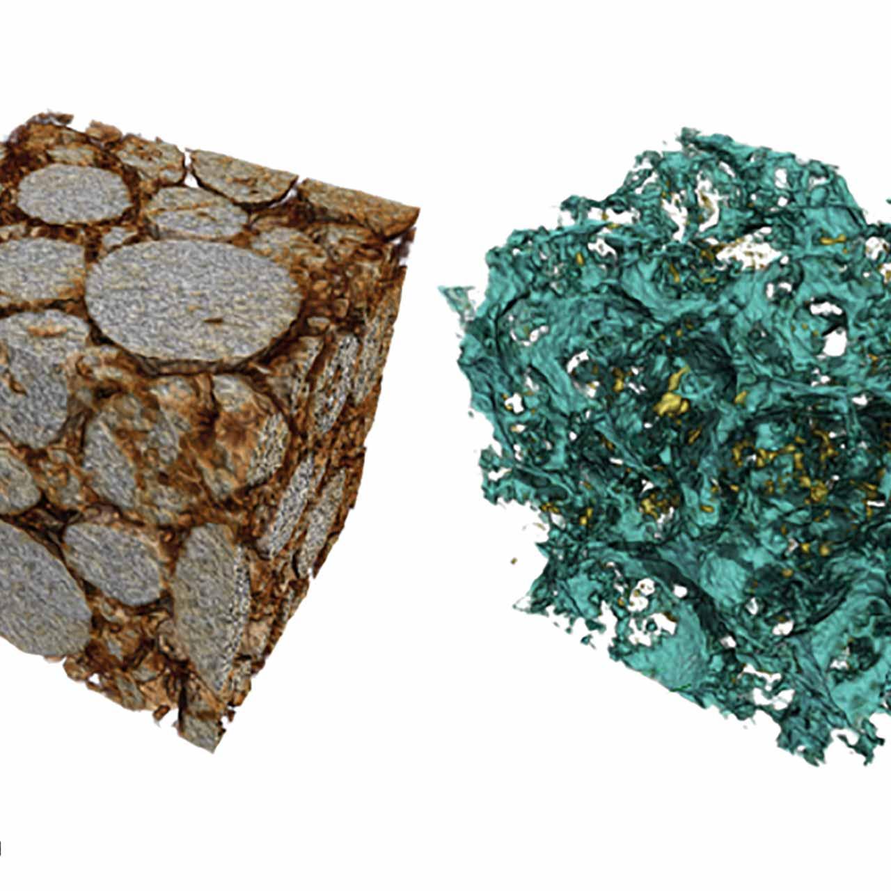 3D‑Rendering von Elektrodenpartikeln (links) und Porennetzwerk (rechts)