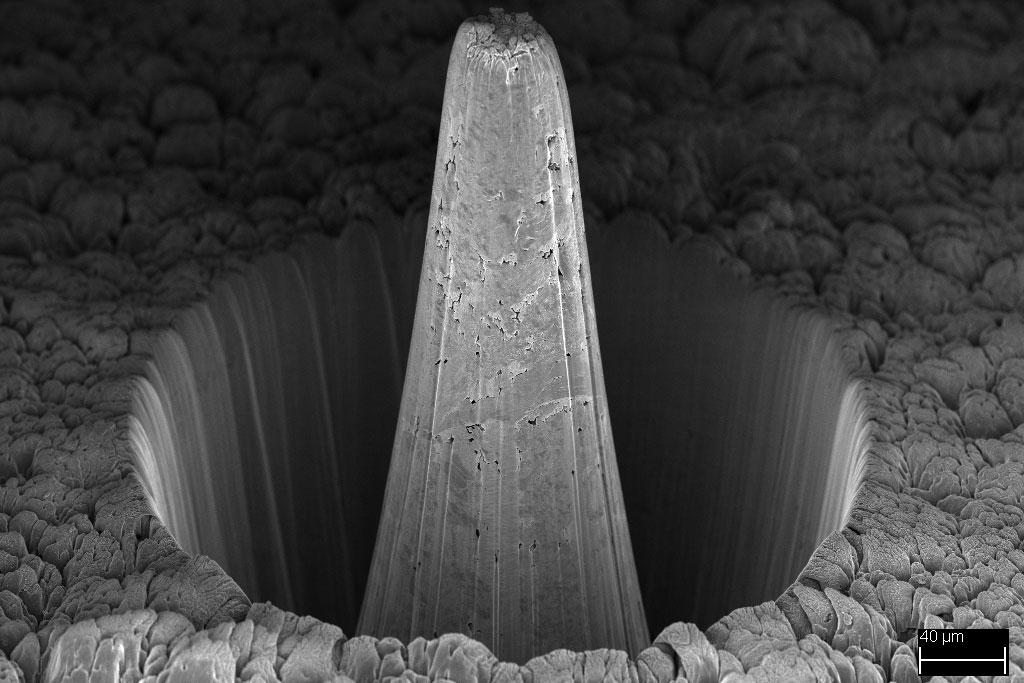 Micropillar of nuclear grade graphite IG-110 prepared for nanoscale X-ray microscopy in Xradia Ultra using laser ablation in the LaserFIB. Total milling time 13 minutes. 