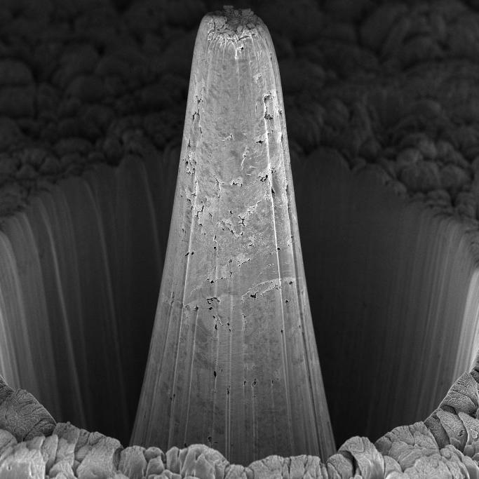 Micropilier de graphite de qualité nucléaire IG-110 préparé pour la microscopie à rayons X à l'échelle nanométrique dans Xradia Ultra en utilisant l'enlèvement au laser dans le LaserFIB. Temps de fraisage total : 13 minutes. 