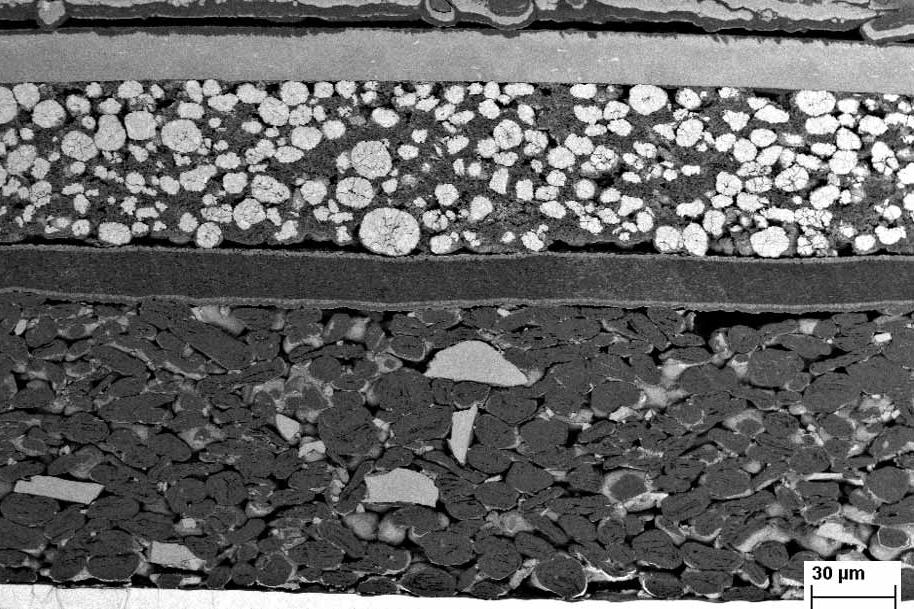 Cross-section of lithium ion battery containing NCM cathode