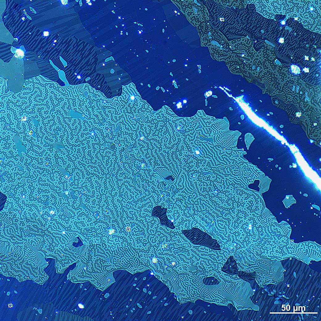 Aufnahme eines (entmagnetisierten) NdFeB-Dauermagneten; Kerr-Aufnahme einer Nd2Fe14B-Probe