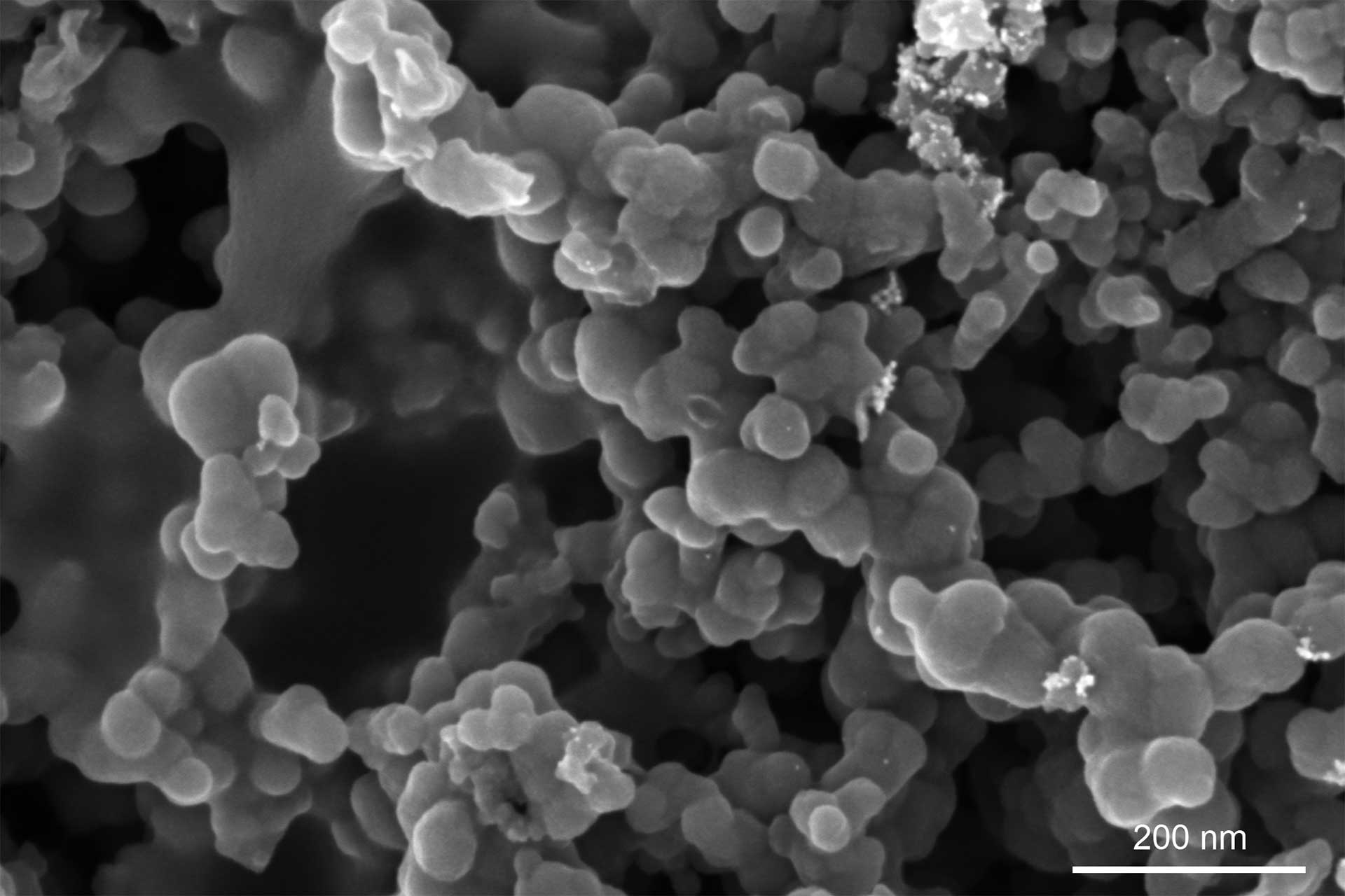 コーティングされていない固体高分子型燃料電池の微孔層の表面、2 kVでInlens SE検出器搭載GeminiSEMを使用してイメージング。 