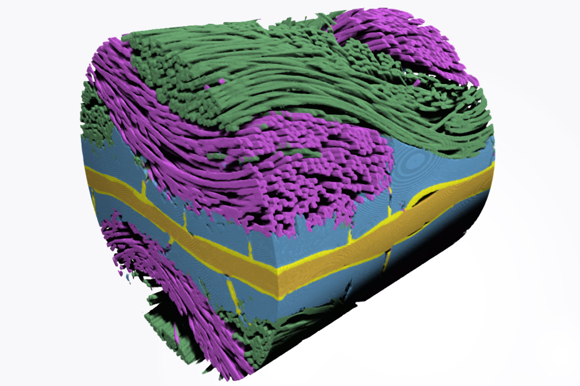 3D rendering of a polymer electrolyte fuel cell membrane electrode assembly.