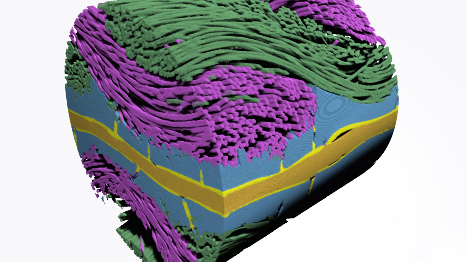 X-ray Microscopy