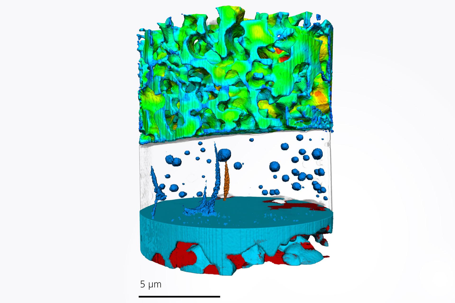 A solid oxide fuel cell (SOFC) imaged using the Xradia 810 Ultra X-ray microscope XRM.