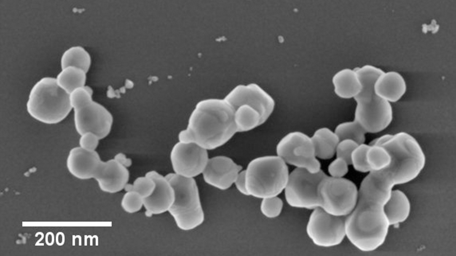 Enhancing nanoparticles research: High resolution SEM image of the ferrocerium nanoparticles is the first step of the end-to-end microscopy workflow from FE-SEM imaging to image segmenta