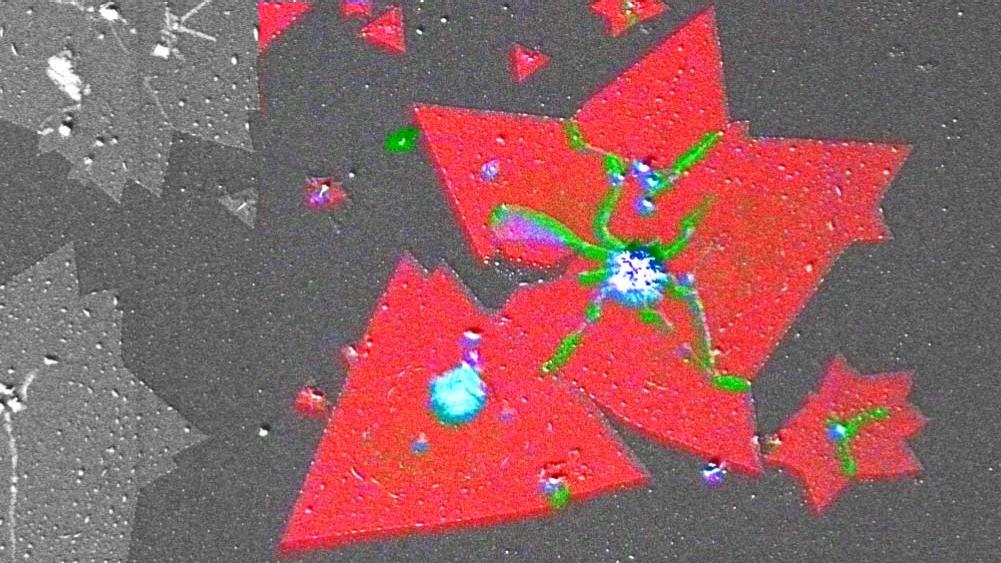 CVD-grown MoS2 2D crystals on Si/SiO2 substrate: The RISE (Raman Imaging and Scanning Electron Microscopy) image demonstrates wrinkles and overlapping parts of the MoS2 crystals (green), multilayers (blue) and single layers (red). ZEISS Sigma with RISE. 