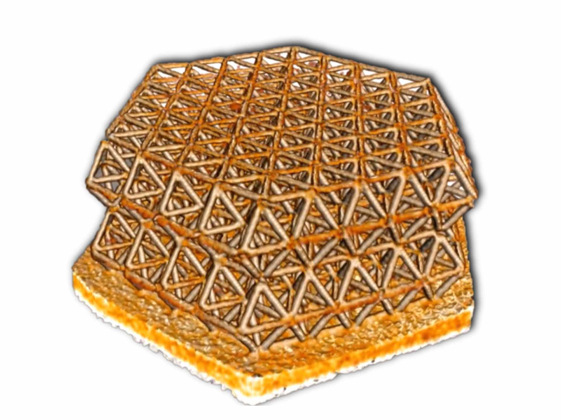 Estructura nanorreticular impresa en 3D, captada con contraste de fases de Zernike antes de los experimentos de compresión in situ 