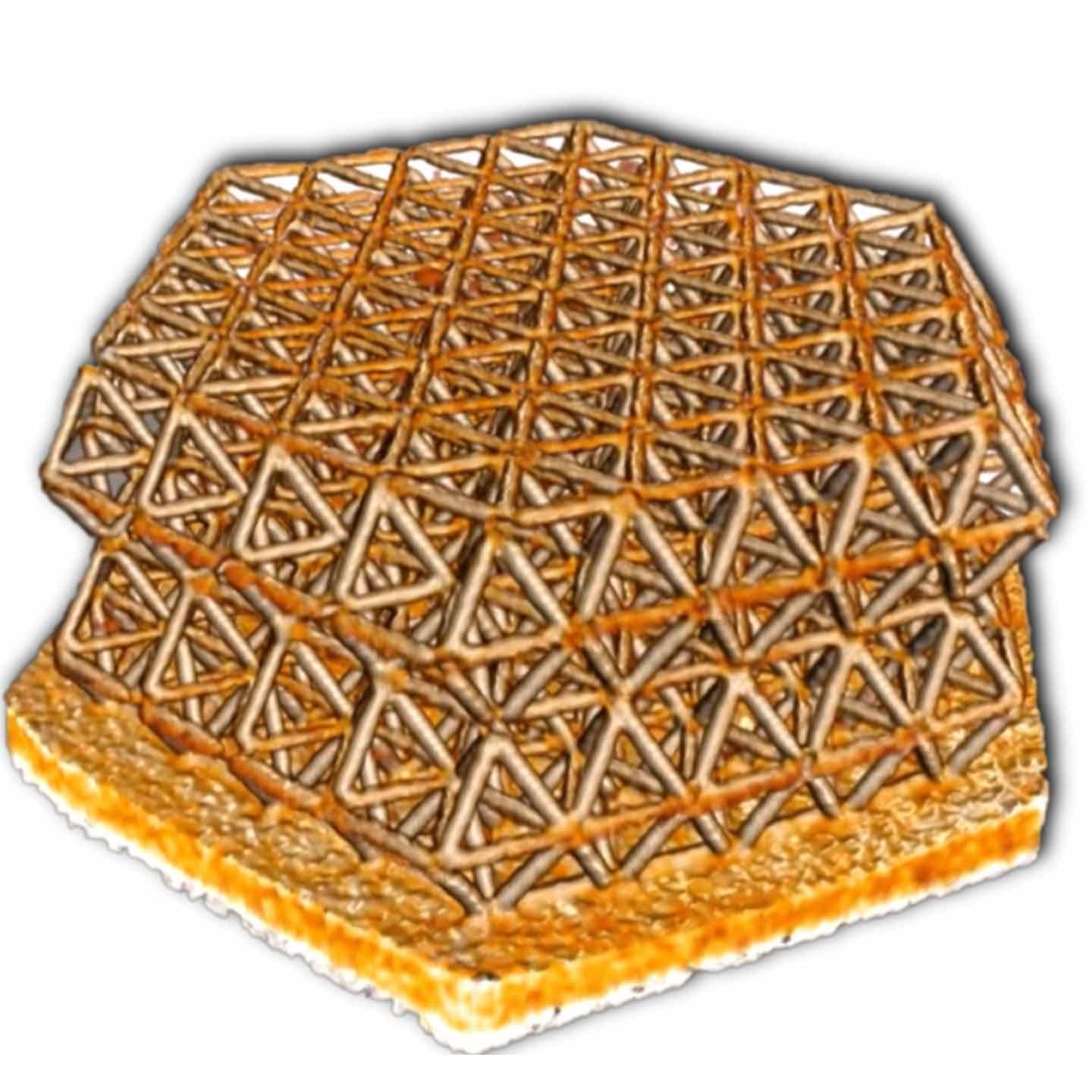 Estructura nanorreticular impresa en 3D, captada con contraste de fases de Zernike antes de los experimentos de compresión in situ 