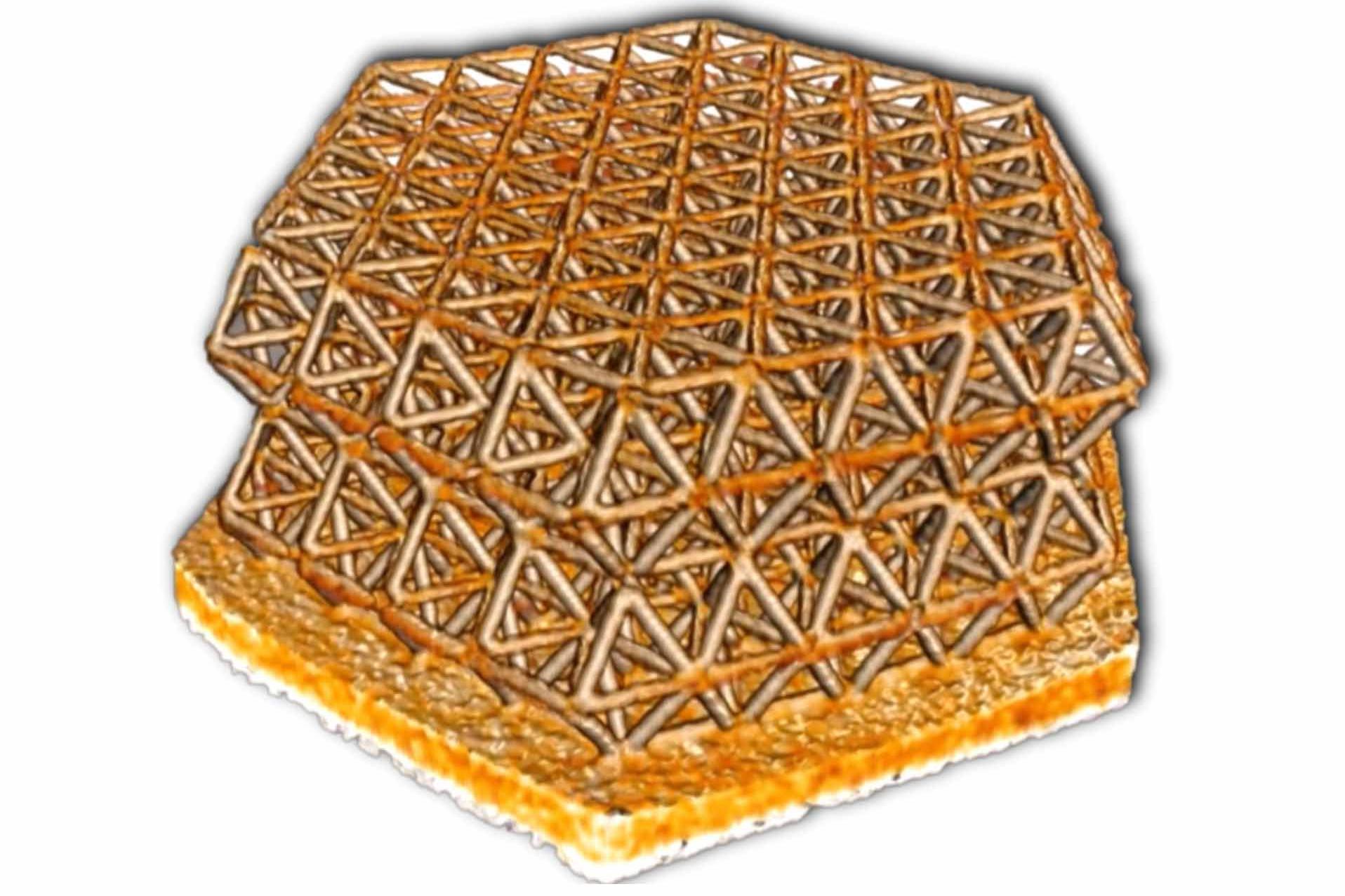 3D printed nanolattice structure, imaged in Zernike phase contrast before in situ compression experiments 