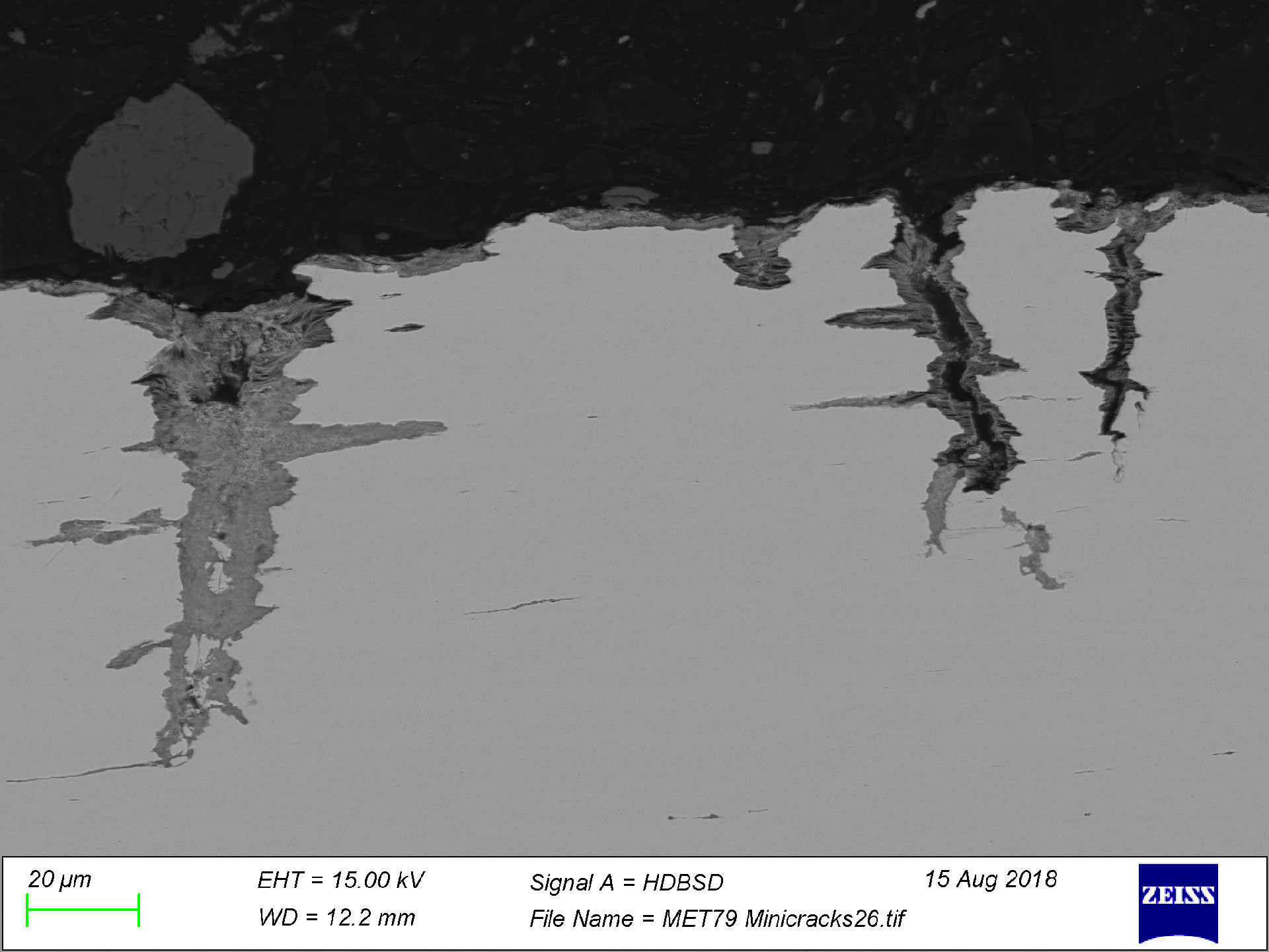 Cracking in carbon steel due to fatigue in a corrosive environment, taken with backscattered electron imaging (BSE), SIGMA 300.
