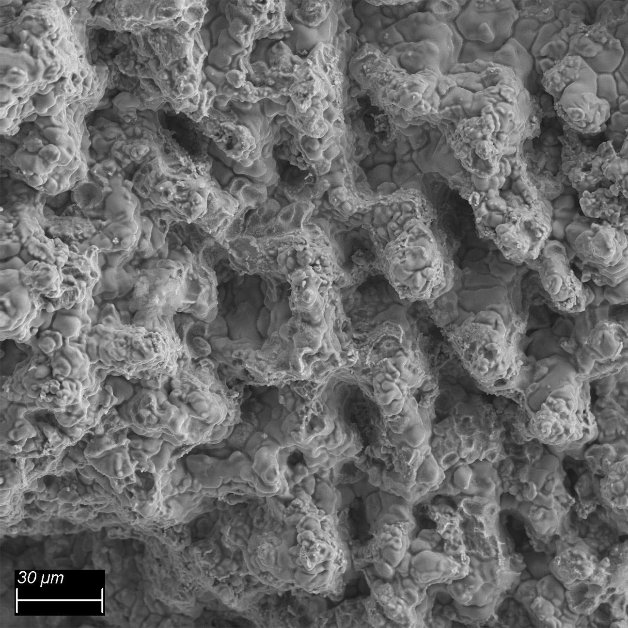 Roughly milled surface of a commercial aluminum alloy component, with ZEISS SIGMA 300 