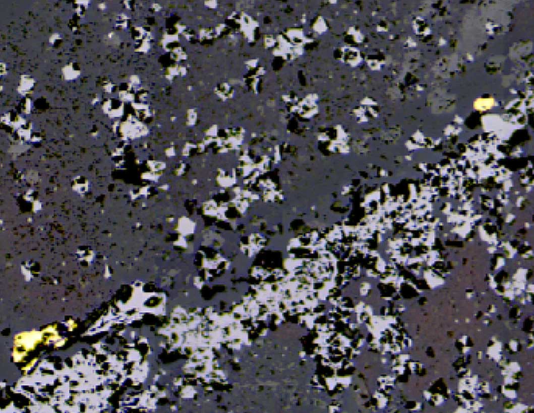 Reflected light photomicrograph of gold sitting at the interface between hematite and silicate/carbonate.