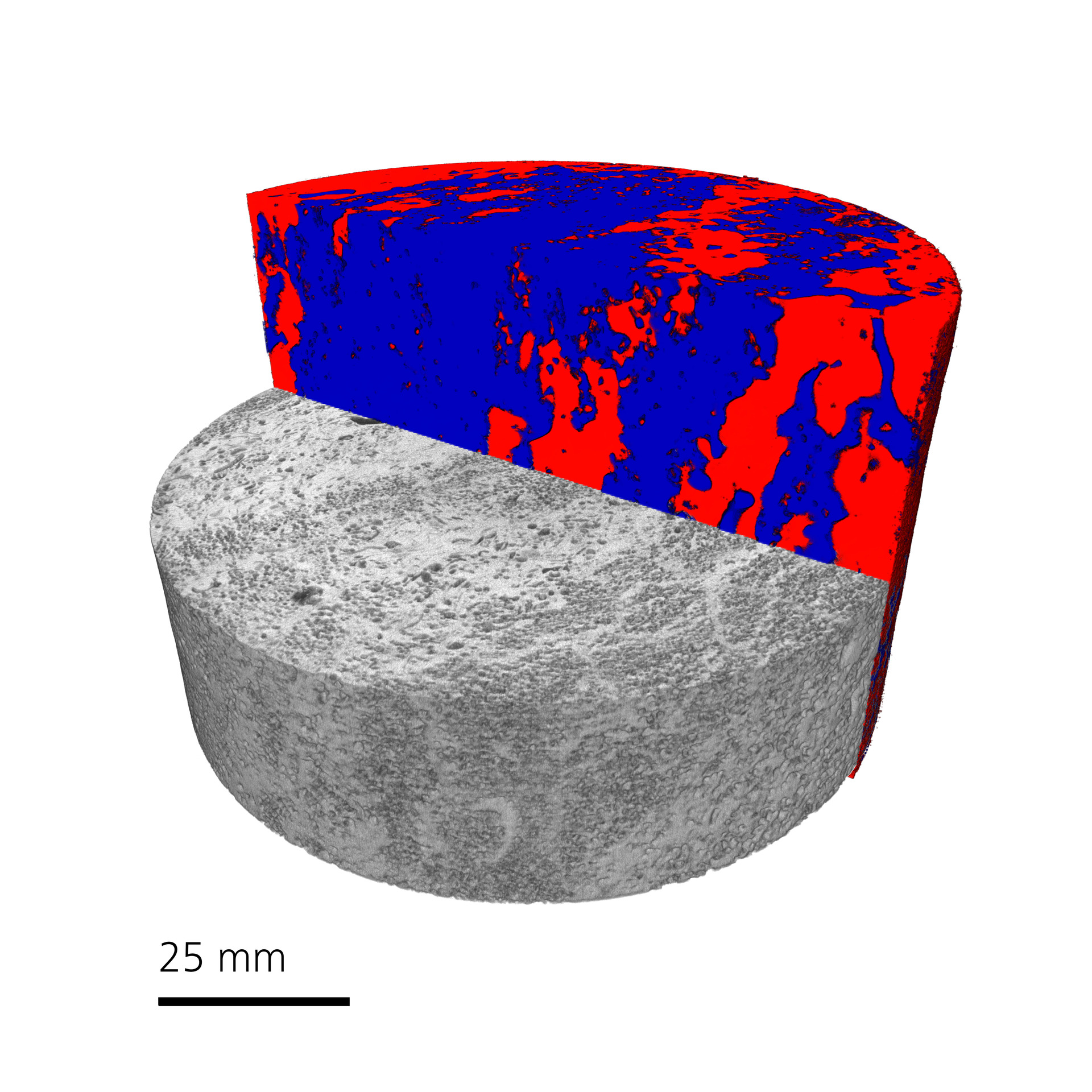 Segmentación que muestra la clasificación litológica de un núcleo de roca carbonática de 4 pulgadas (100 mm). La captura de imágenes se llevó a cabo con el detector FPX en un microscopio de rayos X Xradia 520 Versa. Esta esquematización fue creada con ORS Visual SI Advanced.