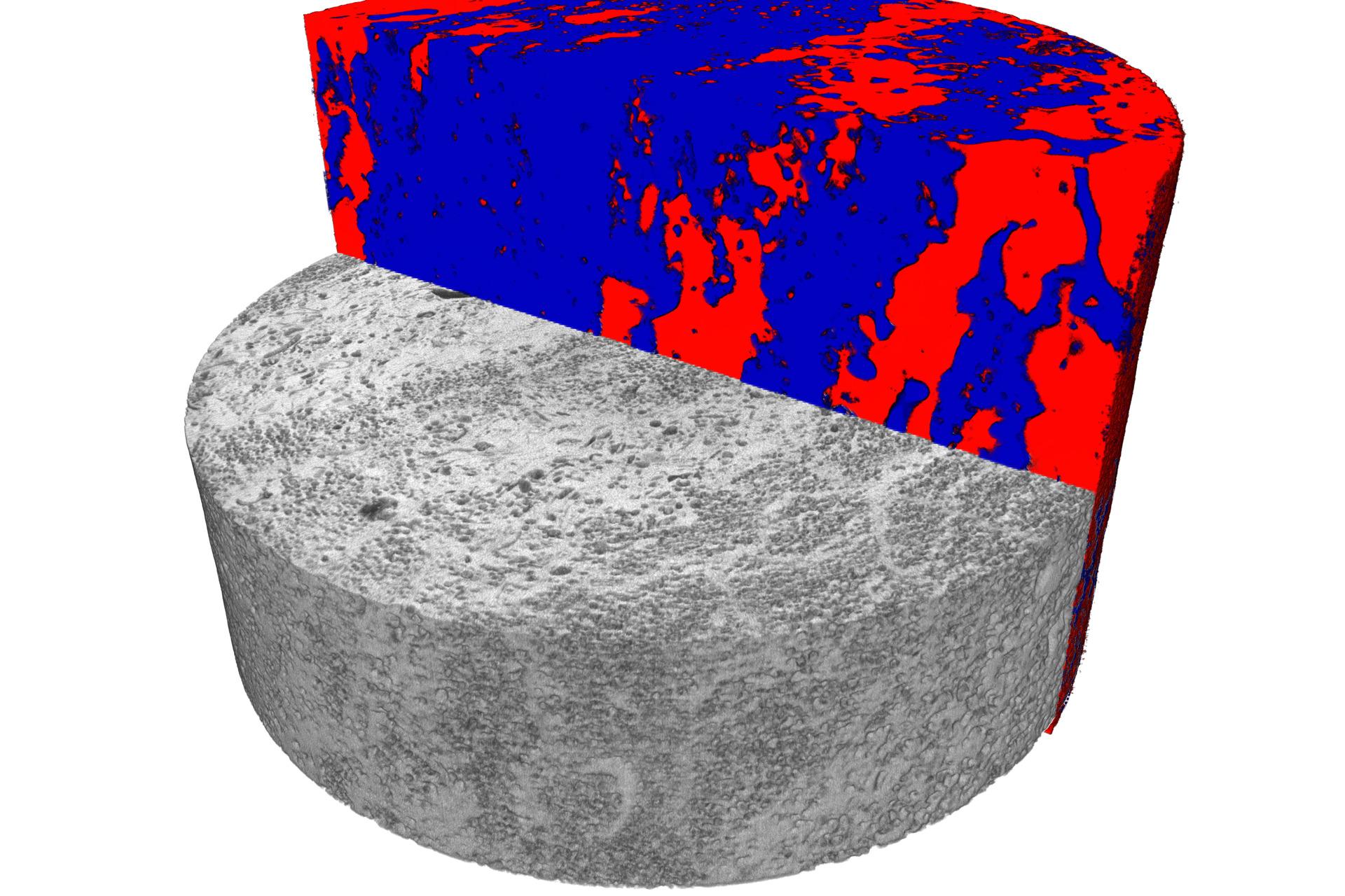 Segmentación que muestra la clasificación litológica de un núcleo de roca carbonática de 4 pulgadas (100 mm). La captura de imágenes se llevó a cabo con el detector FPX en un microscopio de rayos X Xradia 520 Versa. Esta esquematización fue creada con ORS Visual SI Advanced.