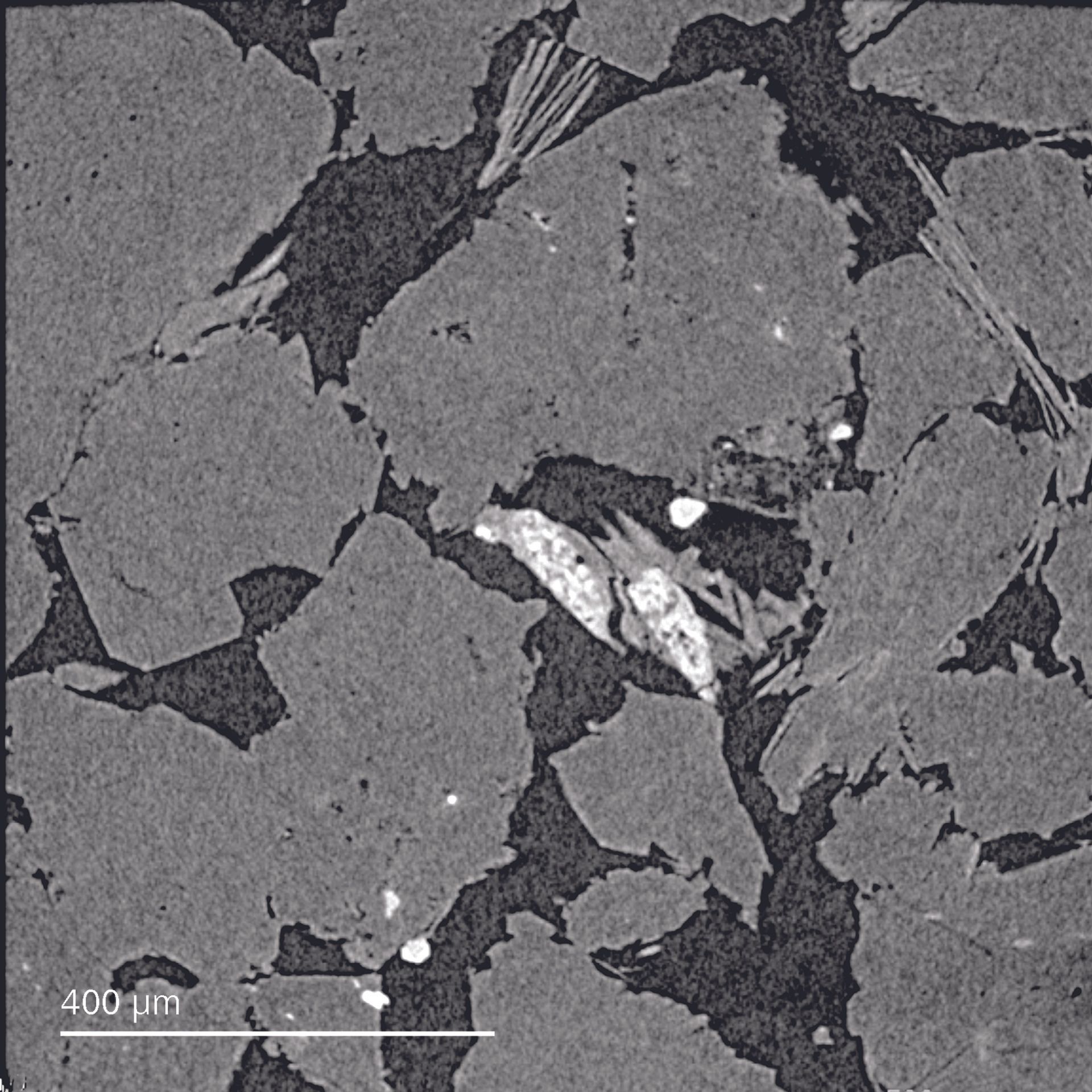 Captura de imágenes submicrométricas de arenisca rica en componentes orgánicos de 8 mm de diámetro