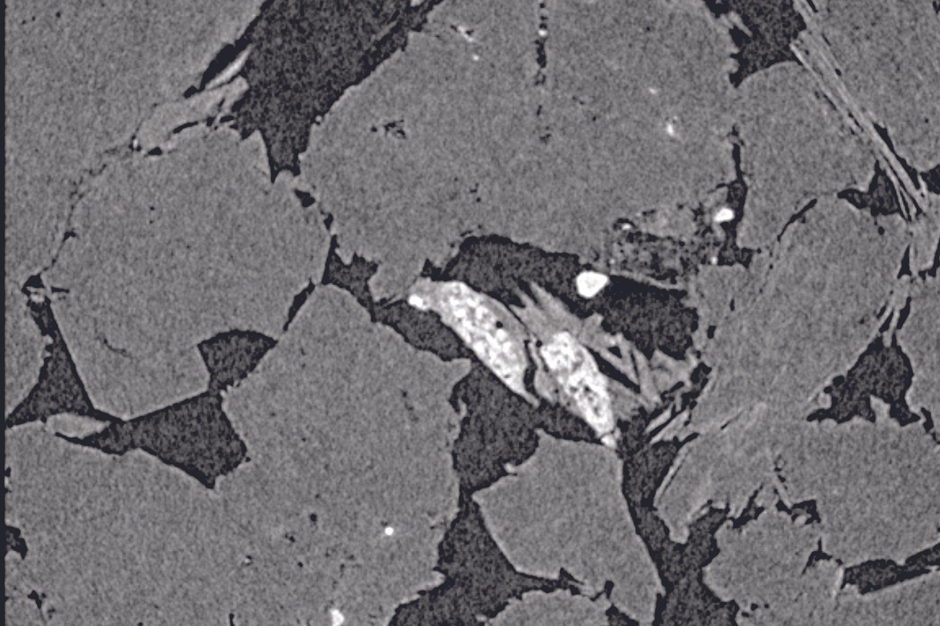 Captura de imágenes submicrométricas de arenisca rica en componentes orgánicos de 8 mm de diámetro
