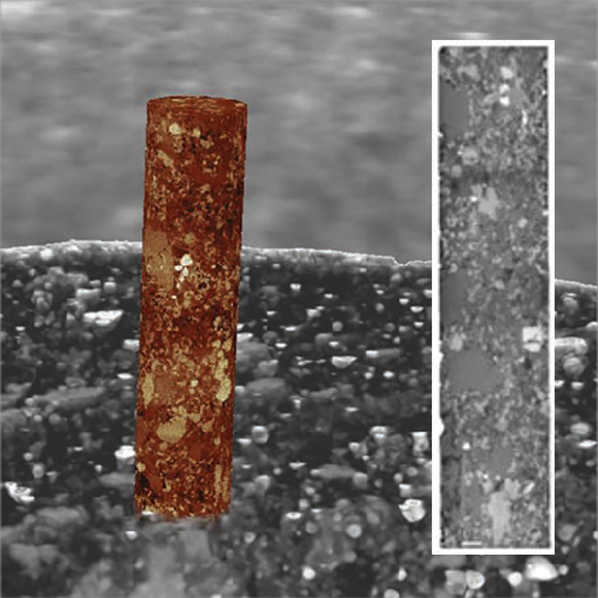 Captura de imágenes 3D multiescala de roca de pizarra. Muestra completa escaneada con Xradia Versa con tamaño de vóxel de 1 μm, mientras que el pilar señalado fue escaneado con Xradia 810 Ultra con vóxeles de 64 nm (campo de visión, total, 361 µm)