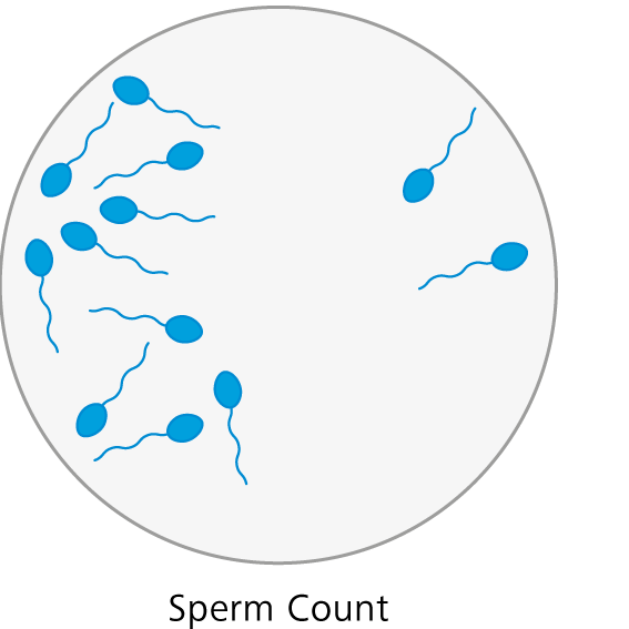 Sperm Count