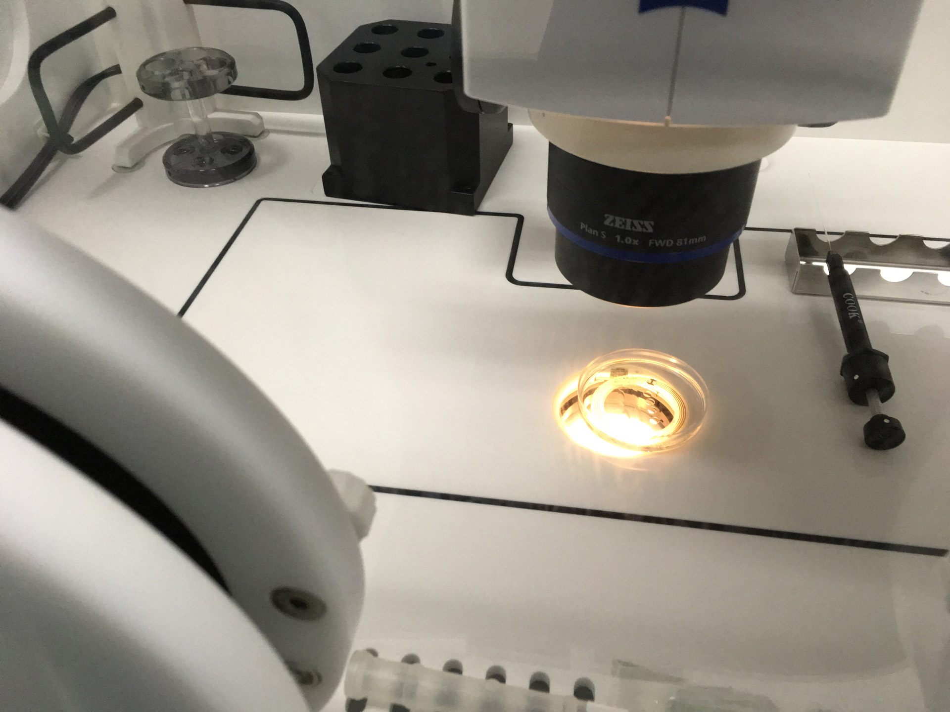 IVF、ICSI、IMSIのための実体顕微鏡を使った卵子の調整