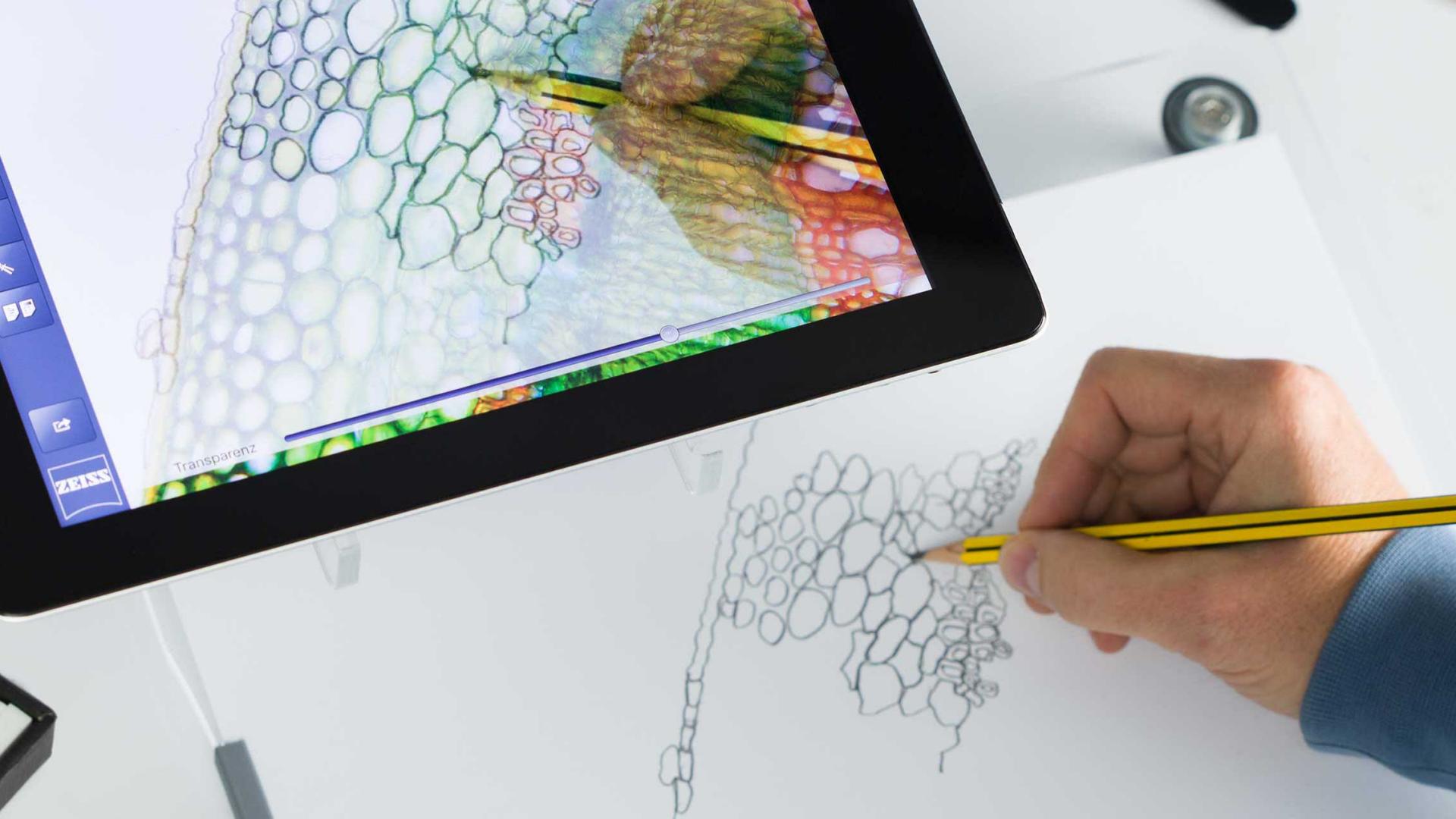 education & teaching microscopy