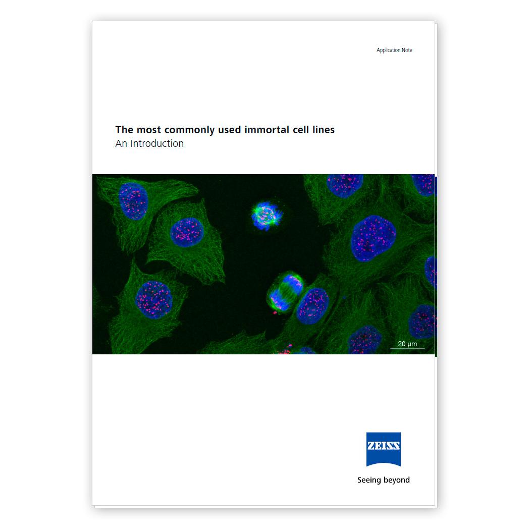 ZEISS Microscopy - The Most Commonly Used Immortal Cell Lines