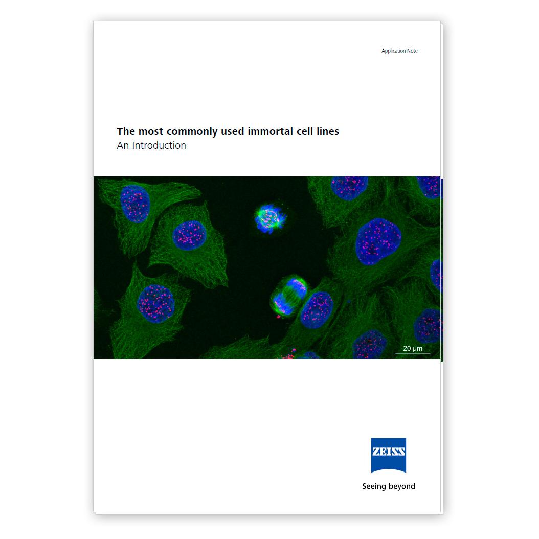 The Most Commonly Used Immortal Cell Lines | White Paper
