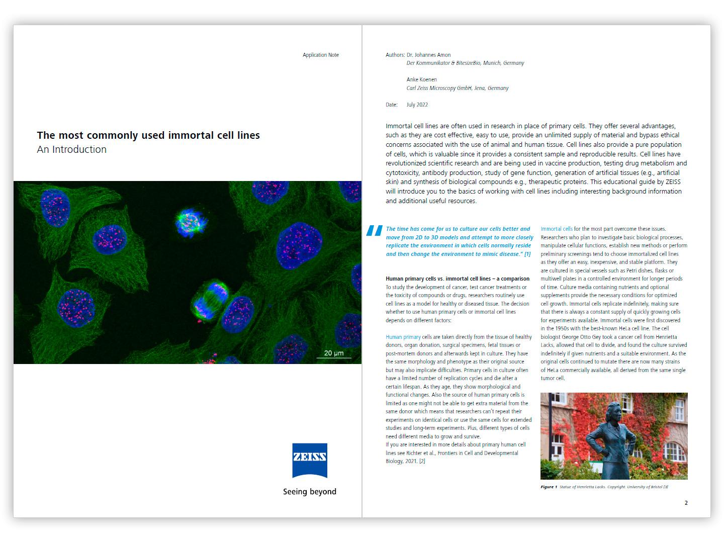 The Most Commonly Used Immortal Cell Lines | White Paper
