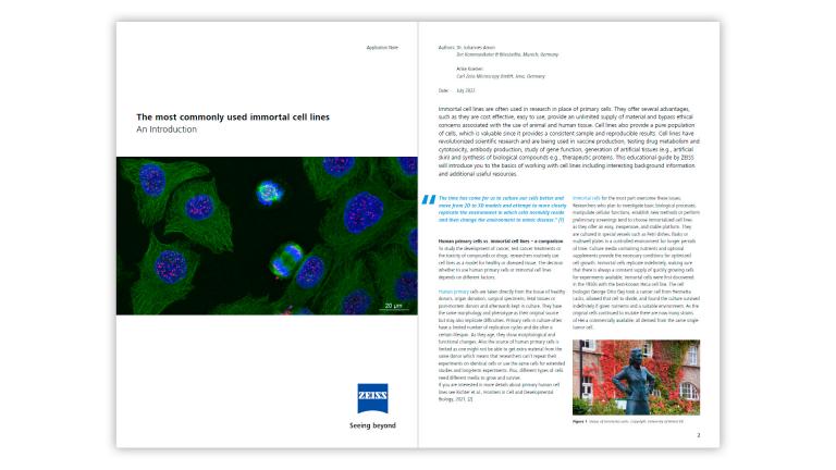 The Most Commonly Used Immortal Cell Lines | White Paper