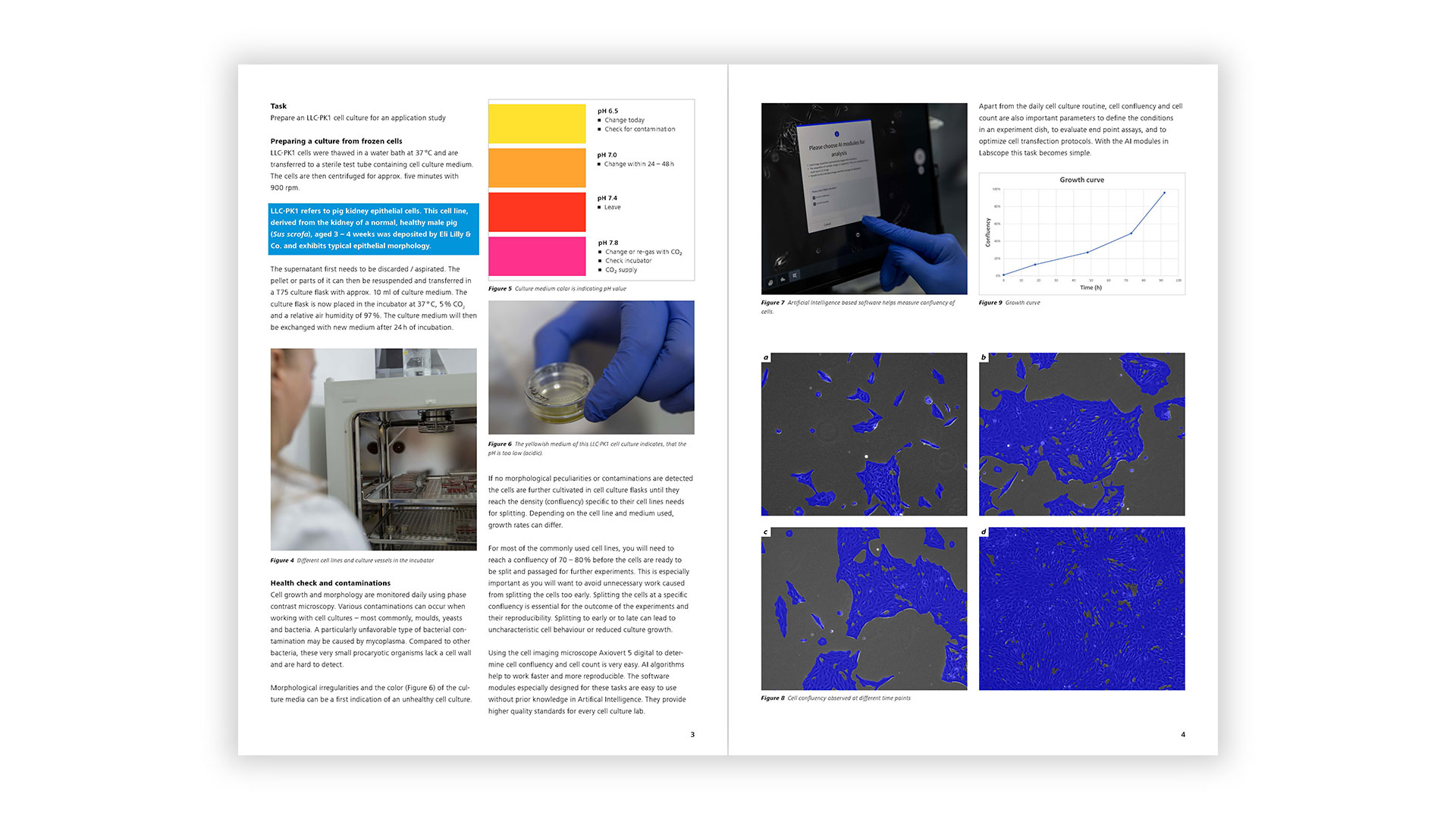 How to Standardize Cell Preparation for Experiments - Preview