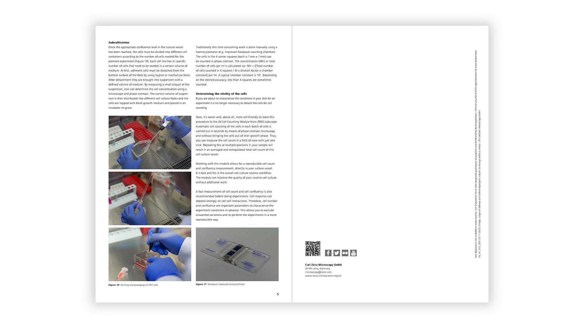 How to Standardize Cell Preparation for Experiments - Preview