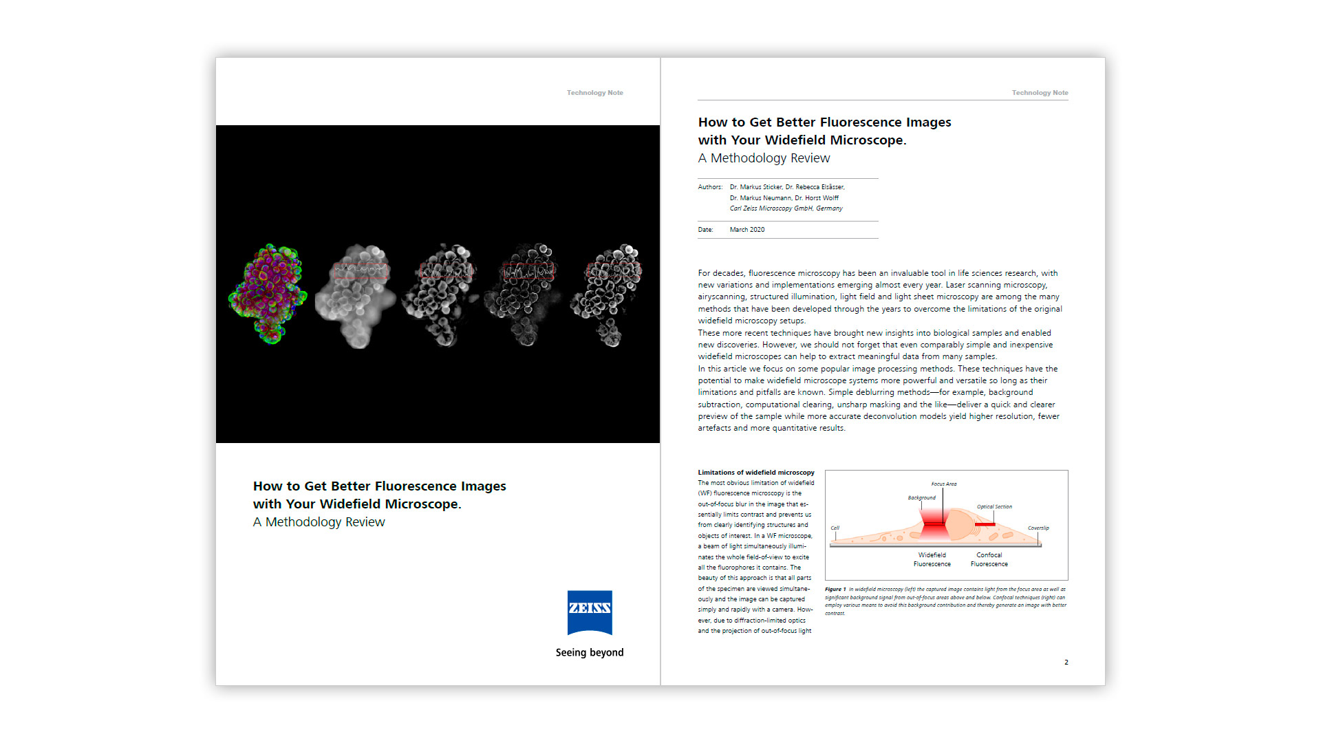 How to Get Better Fluorescence Images with Your Widefield Microscope - Preview