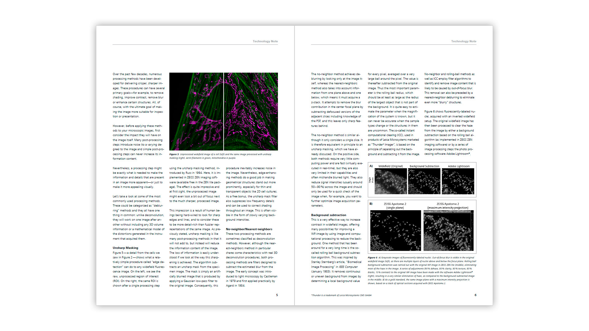 How to Get Better Fluorescence Images with Your Widefield Microscope - Preview