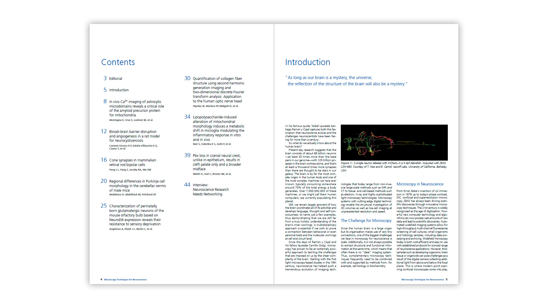 ZEISS Microscopy Techniques for Neuroscience Ebook - Preview 2
