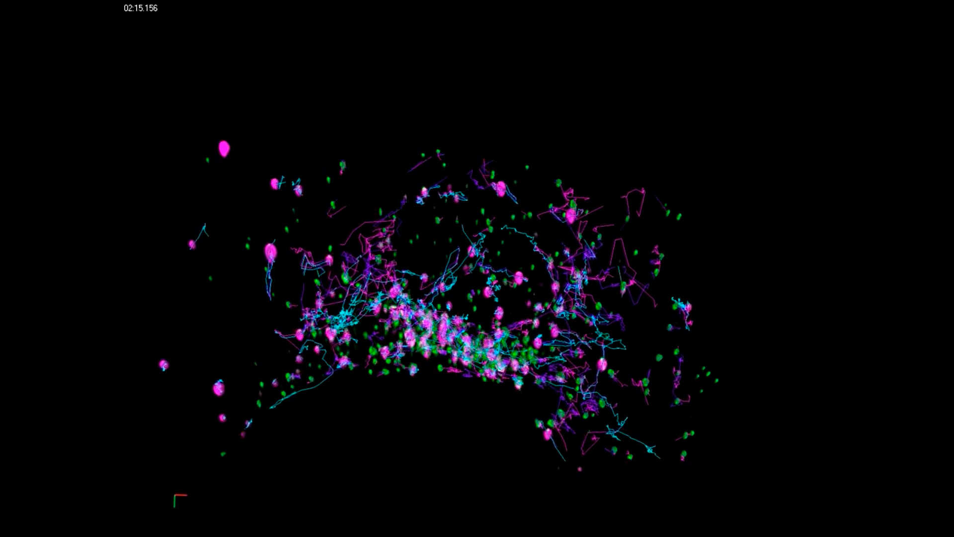 Cos7 cells transiently transfected with mEmerald-Rab5a and Golgi7-tdTomato. Golgi7 is a protein associated to the Golgi and Golgi vesicles. Rab5a is an early endosome marker. Tracking of vesicles in 3D with near-isotroptic resolution.