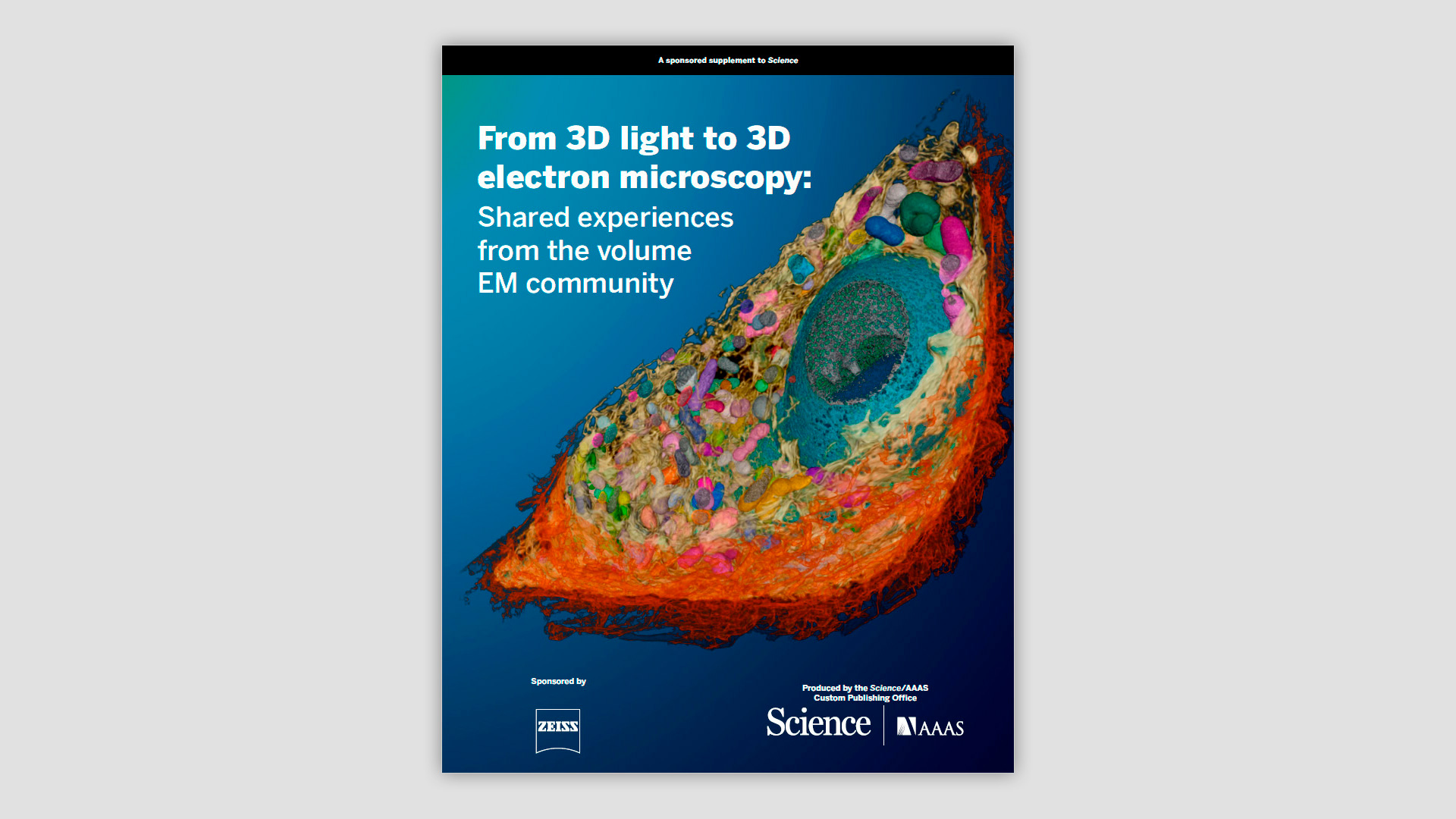 Libro electrónico | From 3D Light to 3D Electron Microscopy