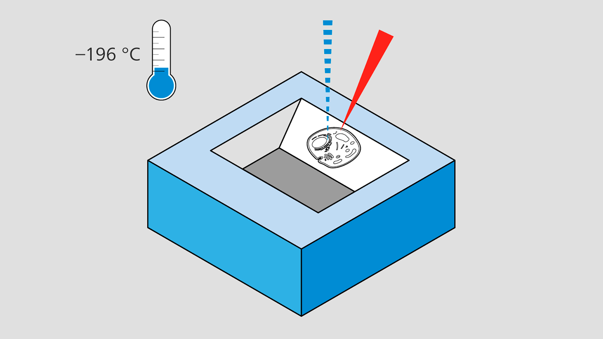 冷冻聚焦离子束扫描电子显微镜技术