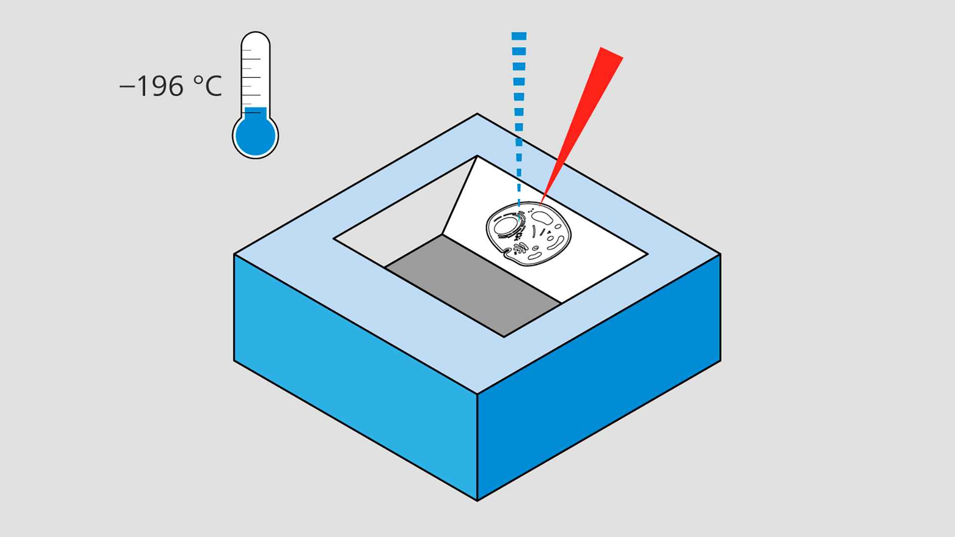 Technique de FIB-SEM cryogénique