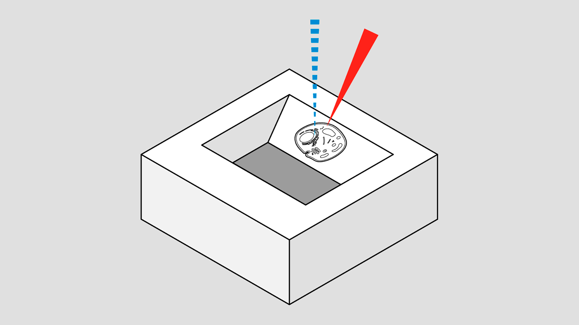 Volumen-EM-Verfahren: SEM mit fokussiertem Ionenstrahl (FIB-SEM)