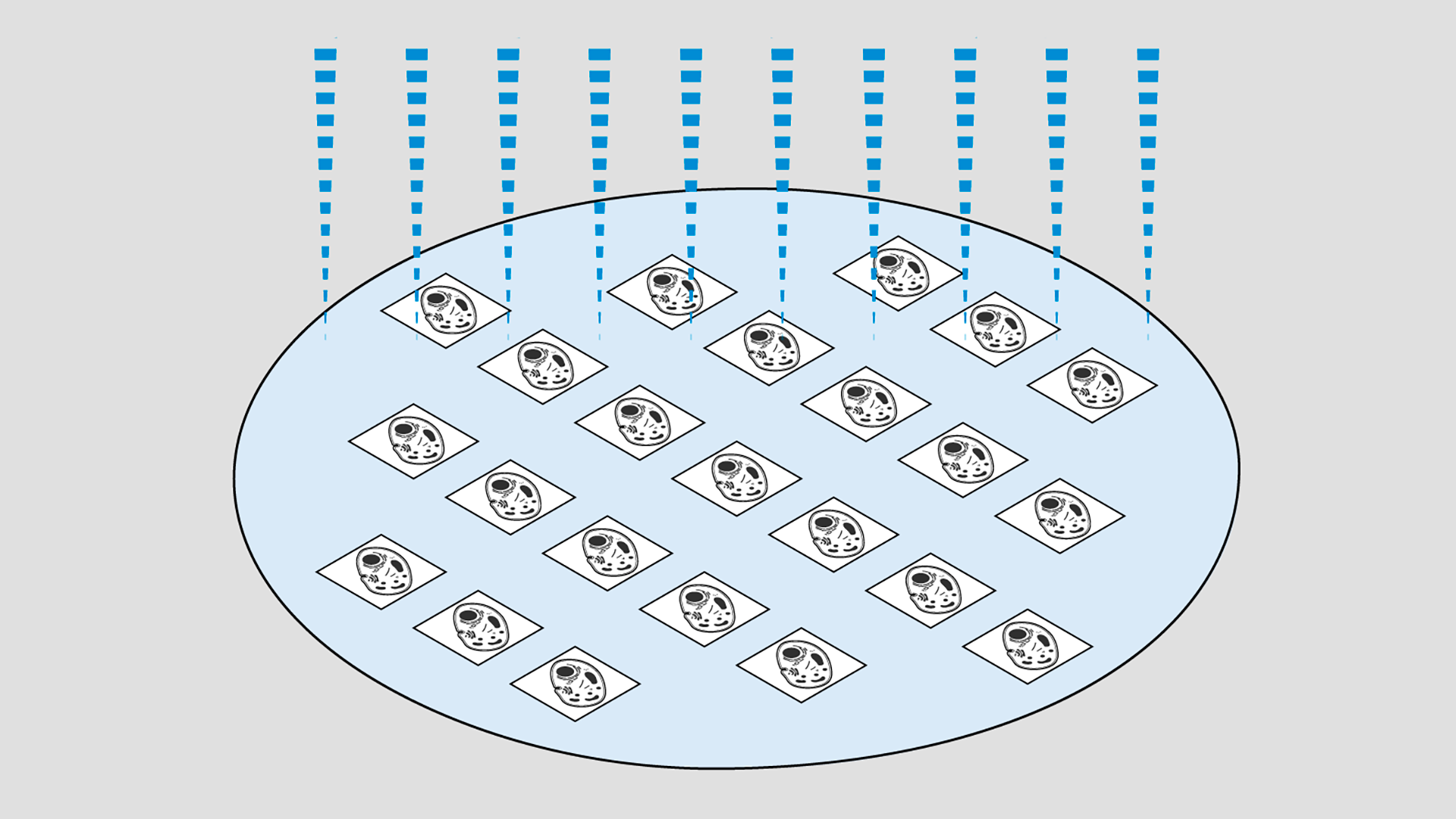 Technique de microscopie électronique volumétrique - Multibeam Array Tomography