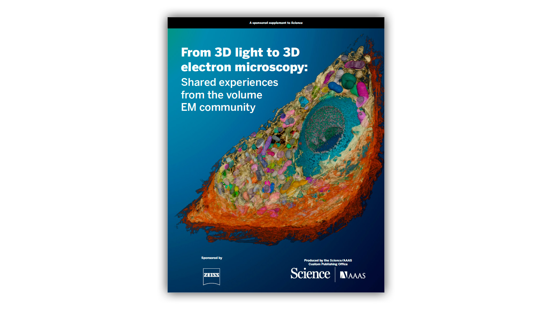 From 3D Light to 3D Electron Microscopy Ebook