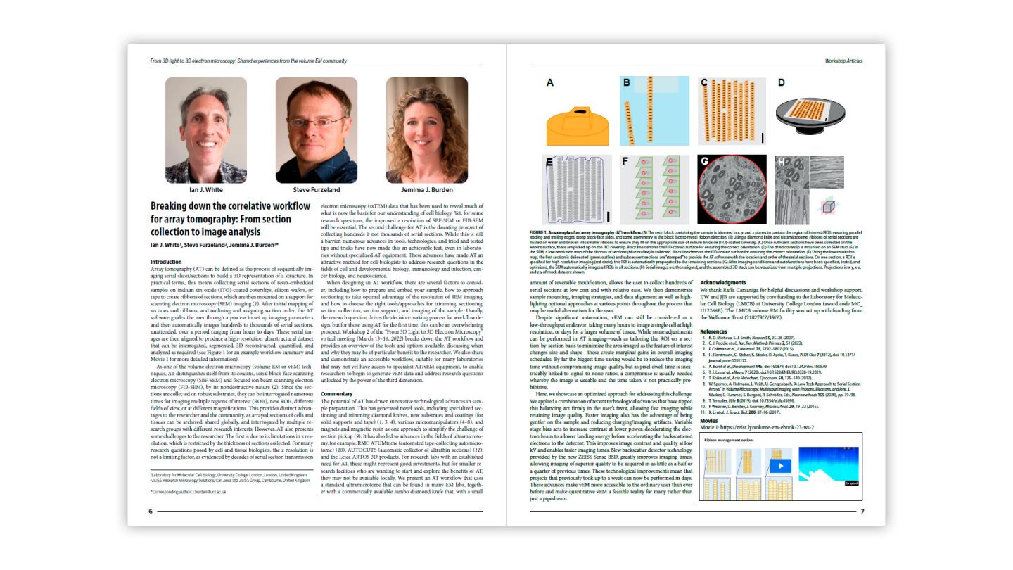 From 3D Light to 3D Electron Microscopy | Ebook