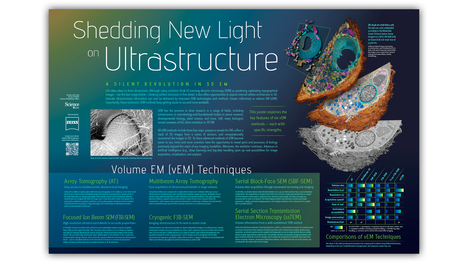 Volumen-EM-Verfahren für ultrastrukturelles 3D-Imaging kennenlernen
