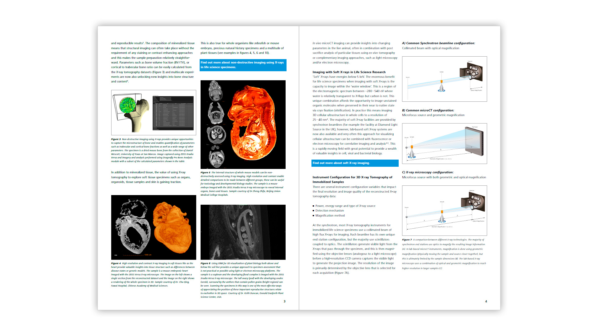 3D X-ray Imaging in Life Sciences White Paper - Preview 2
