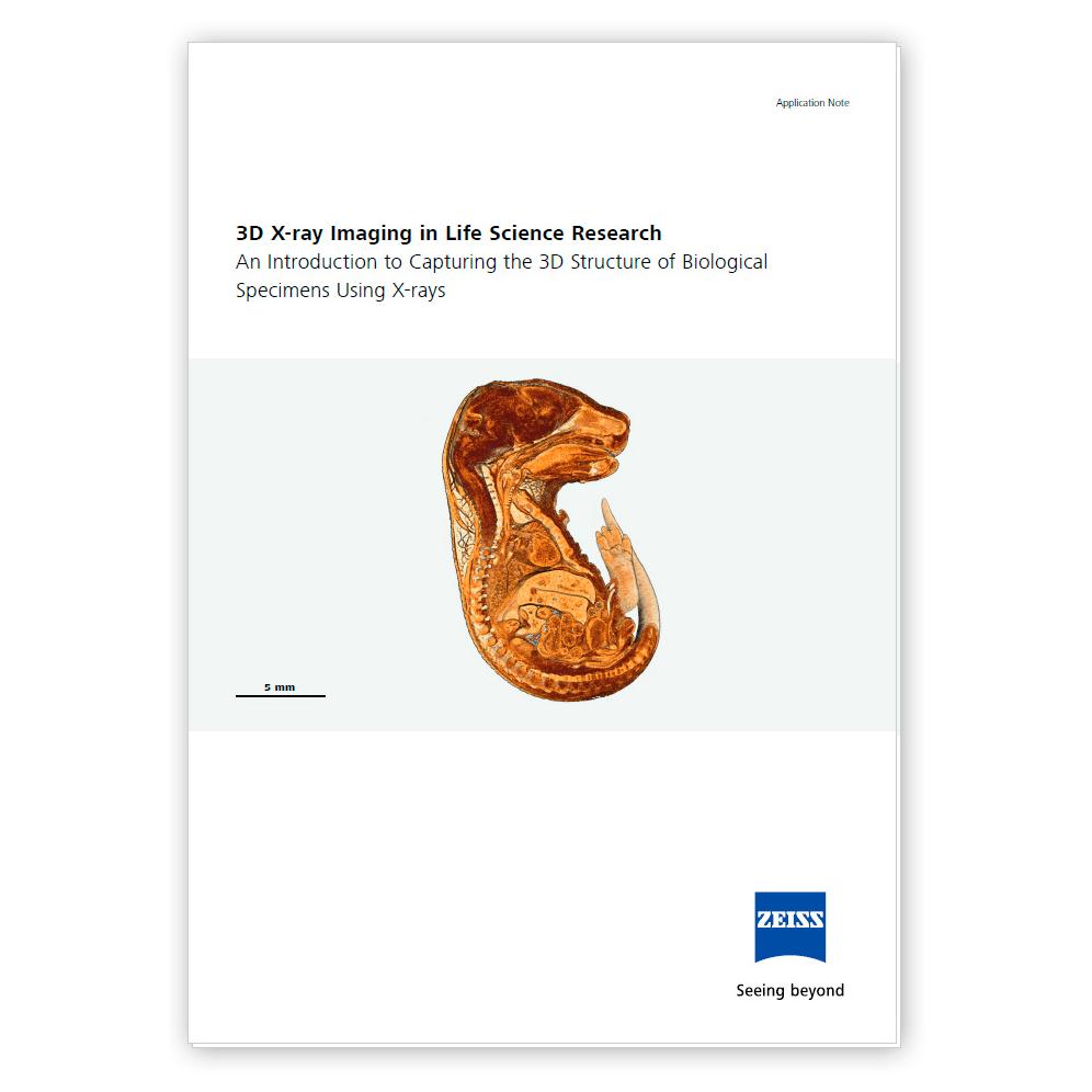 3D X-ray Imaging in Life Science Research | White Paper
