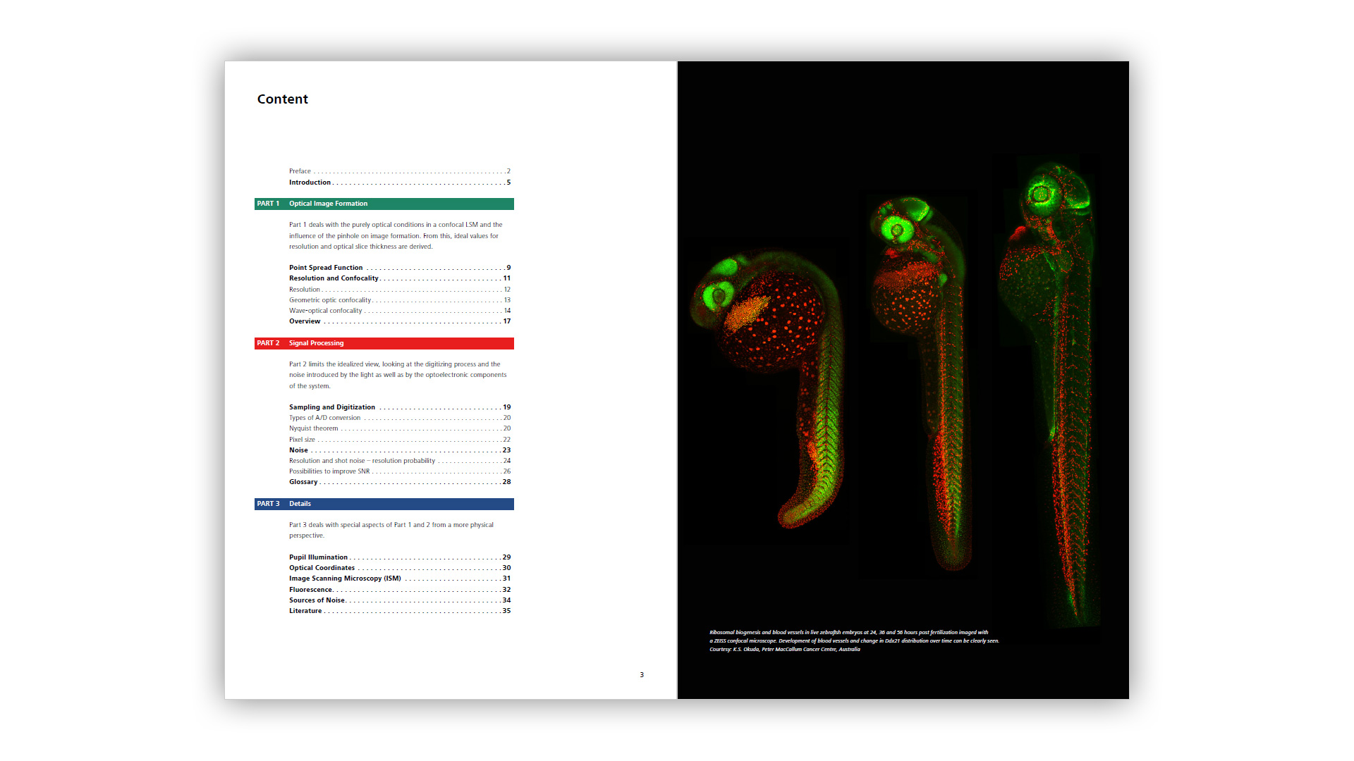 Basics of Confocal Laser Scanning Microscopy - Page 3-4